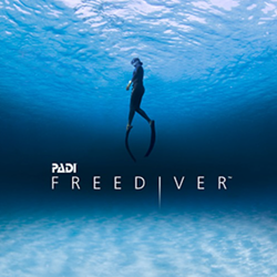 Freediver Elearning                                                       